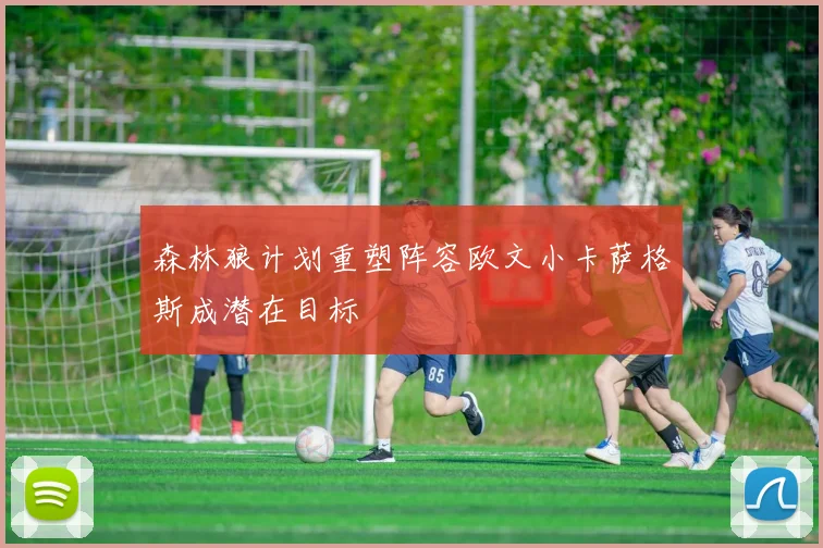森林狼计划重塑阵容欧文小卡萨格斯成潜在目标