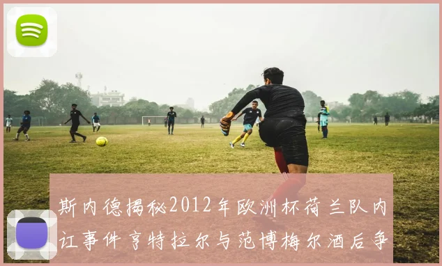 斯内德揭秘2012年欧洲杯荷兰队内讧事件亨特拉尔与范博梅尔酒后争执内幕